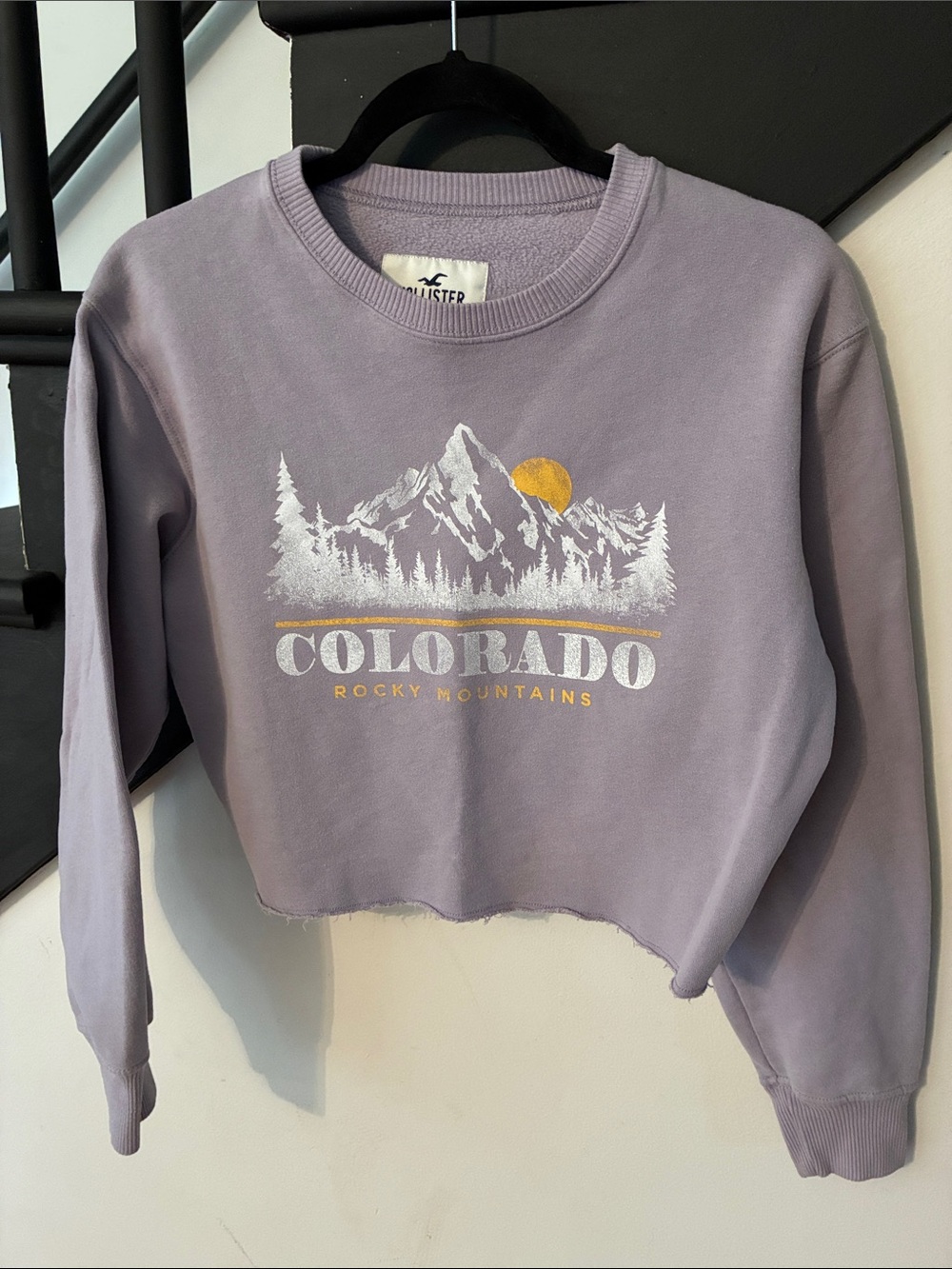 Hollister cropped sweatshirt